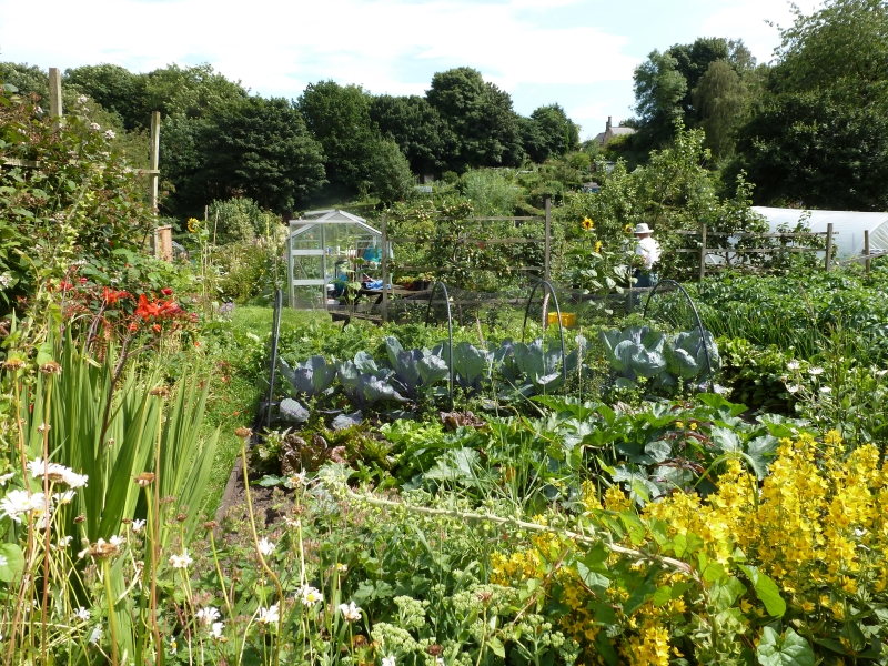 St Margaret's Allotments, Churchyard & Centre